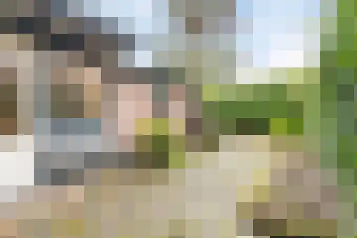 Groenland 5 Edam thumbnail 34