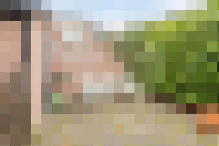 Groenland 5 Edam thumbnail 35
