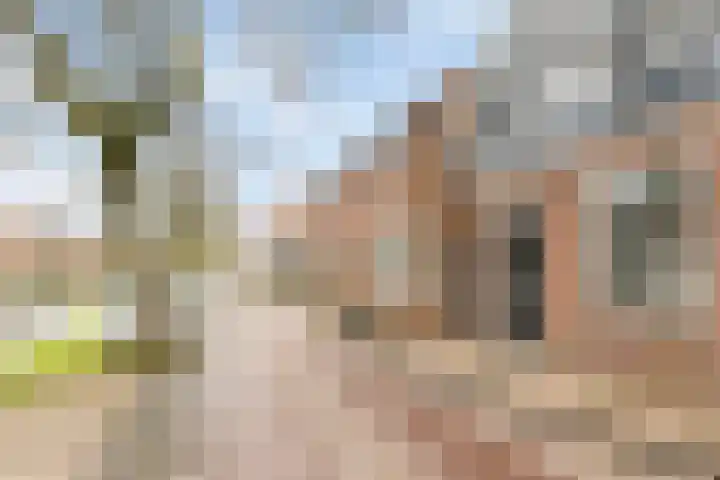 Groenland 5 Edam thumbnail 37