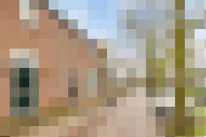 Groenland 5 Edam thumbnail 9