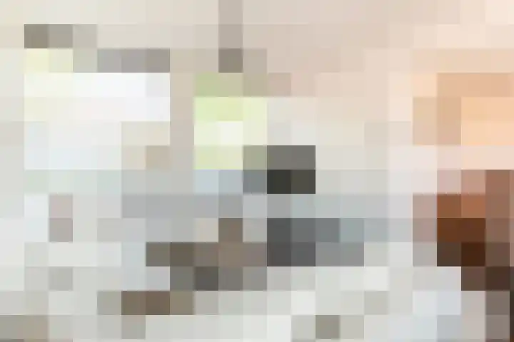 Groenlandstraat 10 Dronten thumbnail 8