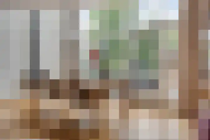 Groenling 19 Boxmeer thumbnail 13