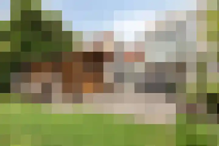 Groenling 19 Boxmeer thumbnail 27