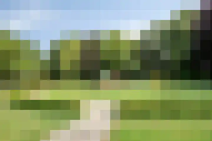 Groenling 19 Boxmeer thumbnail 48