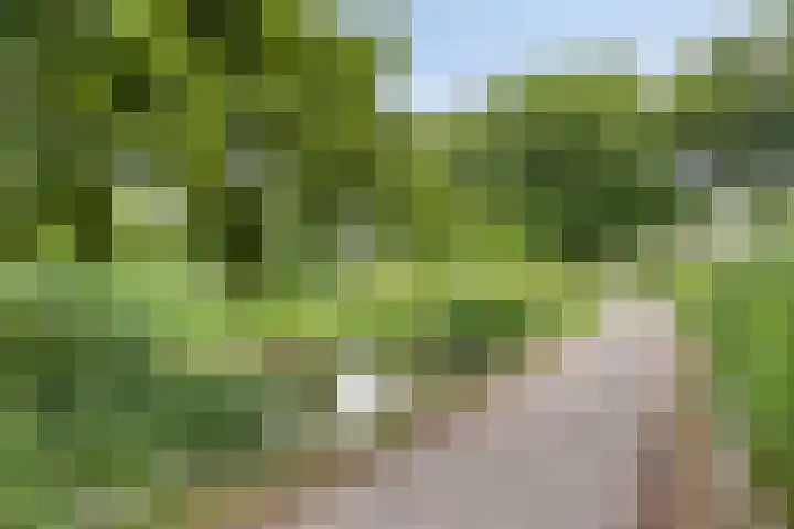 Groenling 19 Boxmeer thumbnail 49
