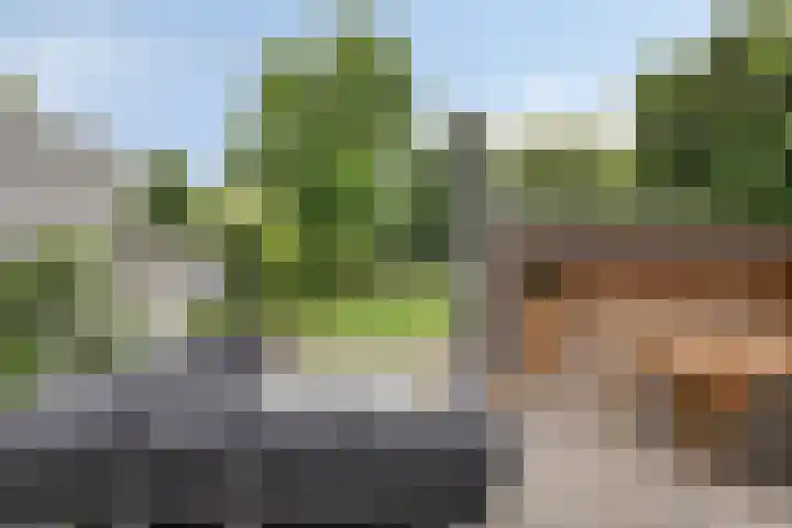 Groenling 19 Boxmeer thumbnail 5