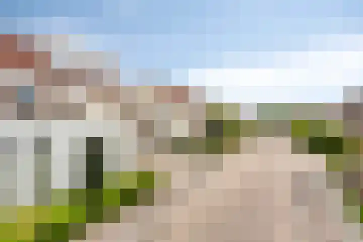 Groenling 19 Boxmeer thumbnail 7