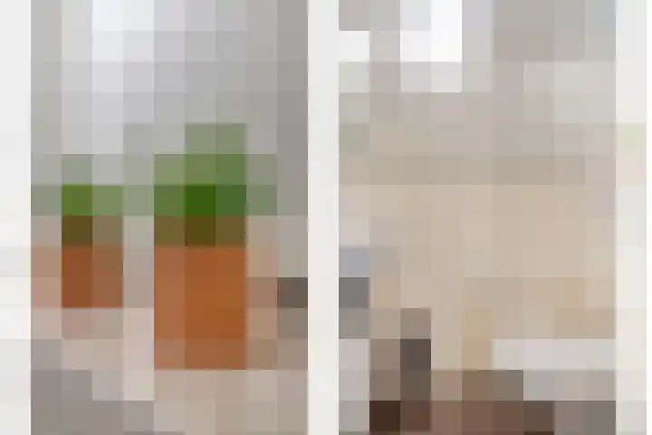 Groenling 19 Boxmeer thumbnail 9
