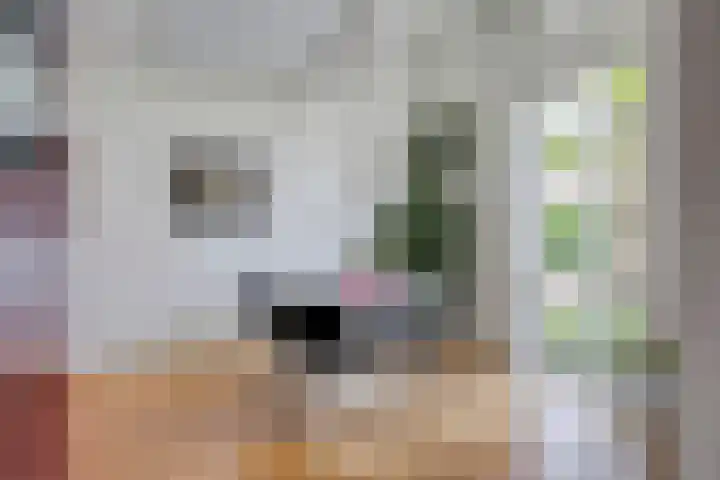 Groenling 21 Boxmeer thumbnail 17