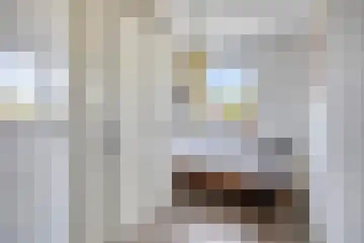 Groenling 21 Boxmeer thumbnail 27