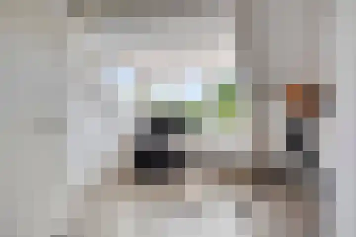 Groenling 21 Boxmeer thumbnail 30