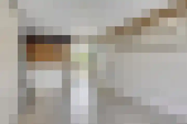 Groenling 21 Boxmeer thumbnail 32