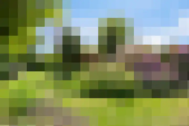 Groenling 21 Boxmeer thumbnail 36
