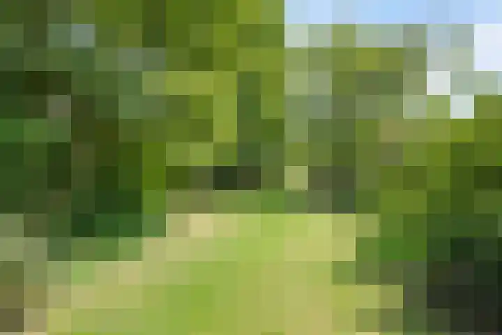 Groenling 21 Boxmeer thumbnail 37