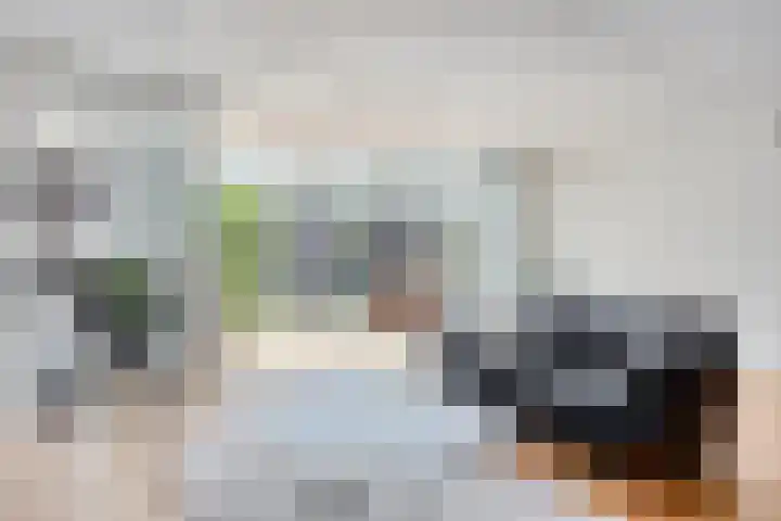 Groenling 21 Boxmeer thumbnail 7