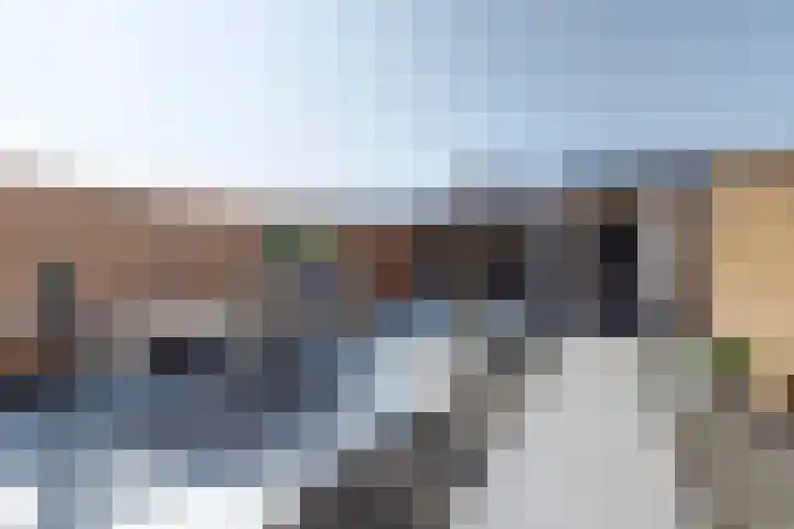 Groenling 31 Ermelo thumbnail 4