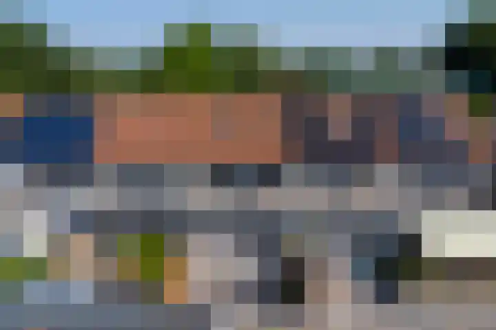 Groenling 31 Ermelo thumbnail 48
