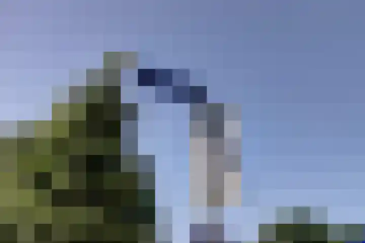 Groenling 31 Ermelo thumbnail 5