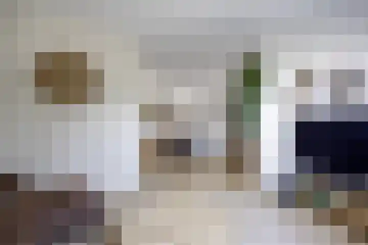 Groensingel 66 Middelstum thumbnail 11