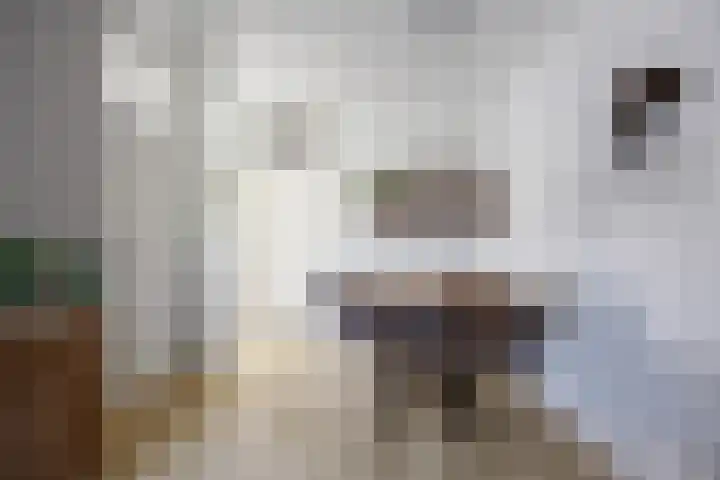 Groensingel 66 Middelstum thumbnail 12
