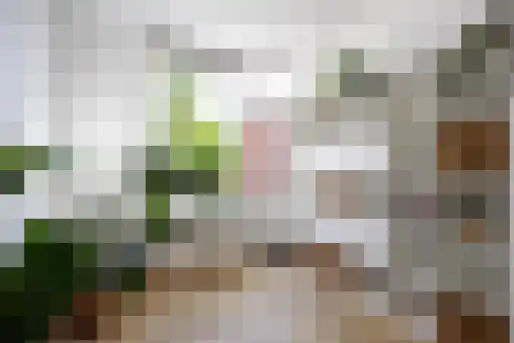 Groensingel 66 Middelstum thumbnail 19