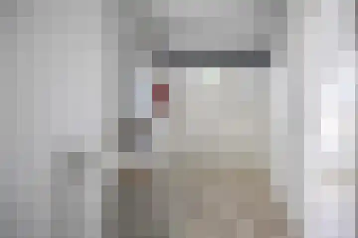 Groensingel 66 Middelstum thumbnail 23