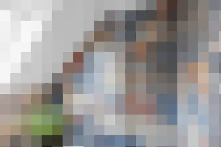 Groensingel 66 Middelstum thumbnail 29