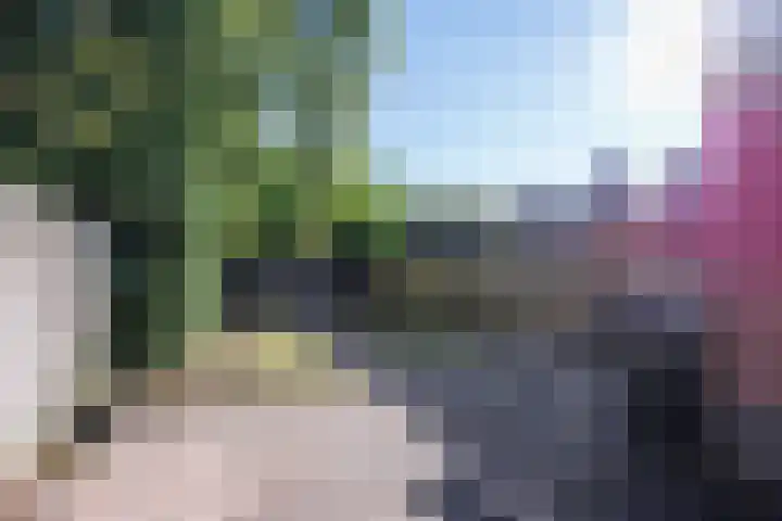 Groensingel 66 Middelstum thumbnail 31
