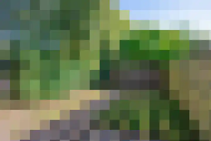 Groensingel 66 Middelstum thumbnail 32