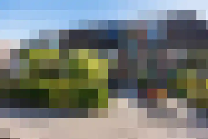 Groensingel 66 Middelstum thumbnail 4