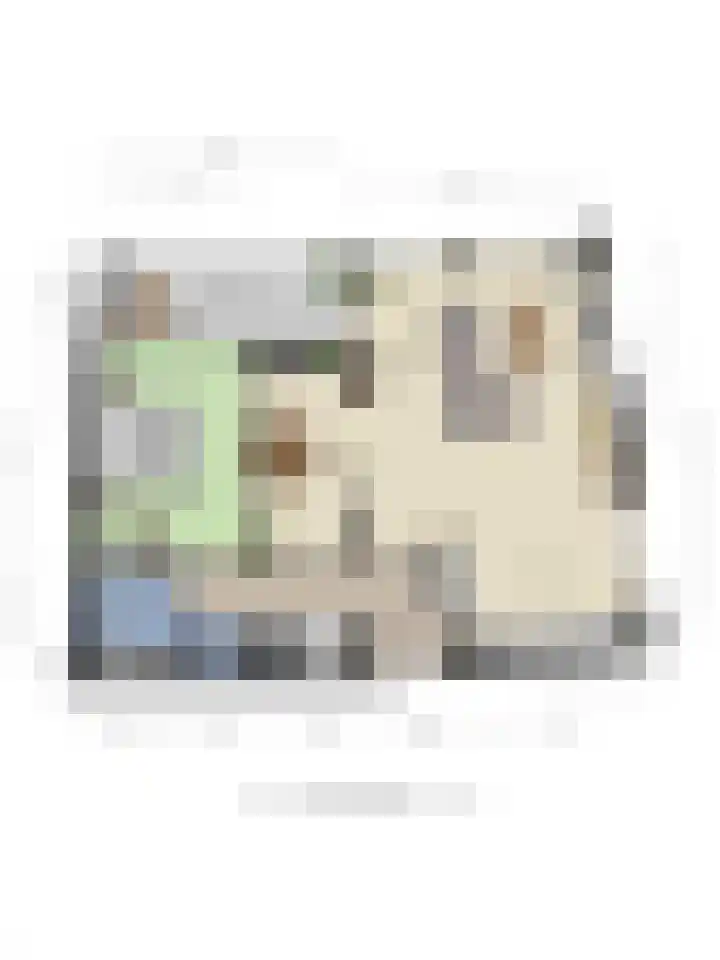 Groenstraat 184 Helmond thumbnail 37