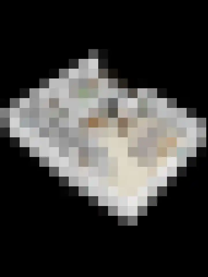 Groenstraat 184 Helmond thumbnail 38