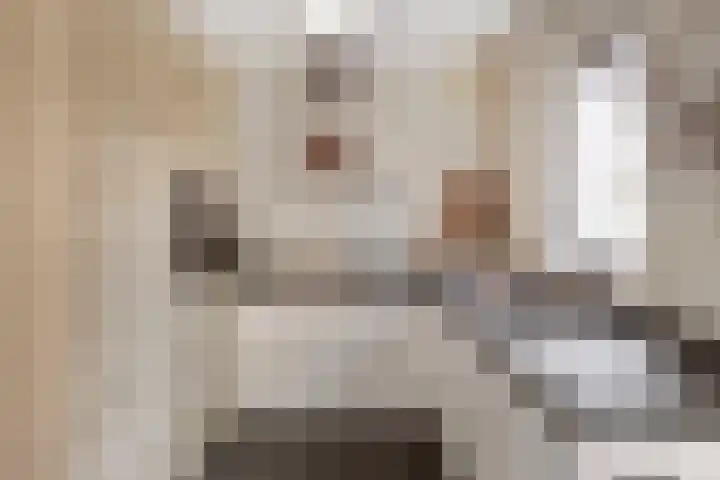 Groenstraat 2 A Eijsden thumbnail 15