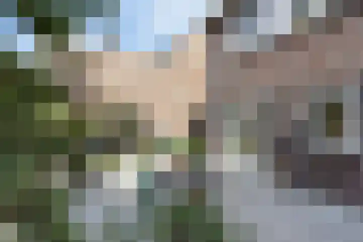 Groenstraat 2 A Eijsden thumbnail 30