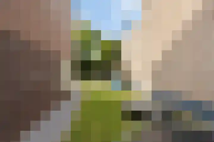 Groenstraat 2 A Eijsden thumbnail 33