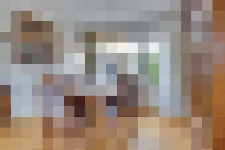 Groenstraat 2 Venlo thumbnail 11