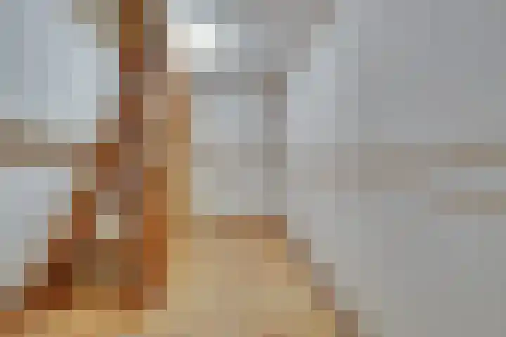 Groenstraat 2 Venlo thumbnail 32