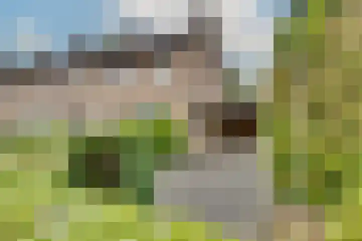 Groenstraat 2 Venlo thumbnail 4