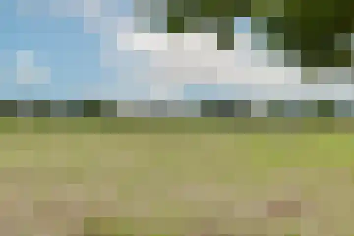 Groenstraat 2 Venlo thumbnail 43