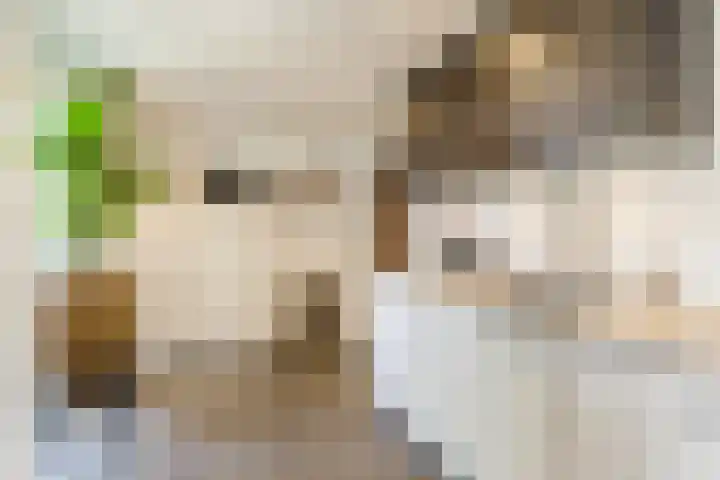 Groenstraat 20 Duizel thumbnail 16