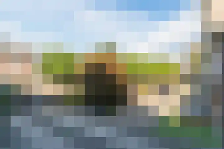 Groenstraat 20 Duizel thumbnail 41