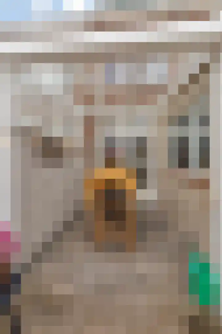 Groenstraat 23 Tilburg thumbnail 39
