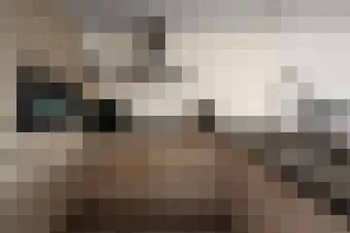 Groenstraat 3 Born thumbnail 12