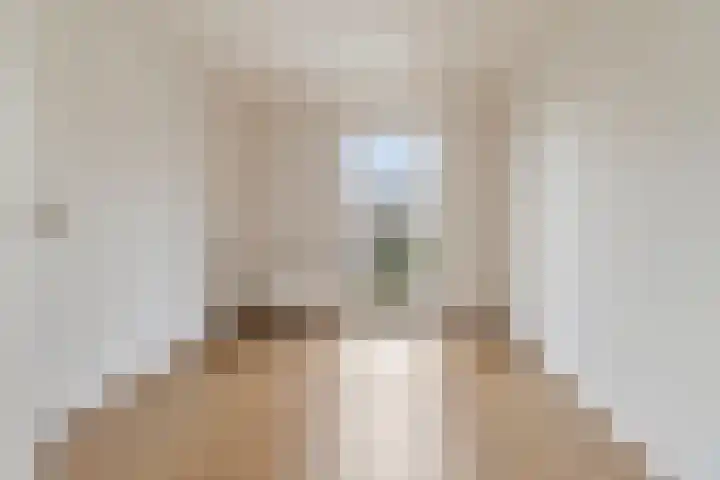 Groenstraat 3 Born thumbnail 13