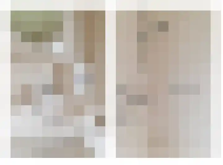 Groenstraat 3 Born thumbnail 16