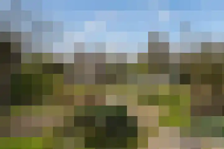 Groenstraat 3 Born thumbnail 28