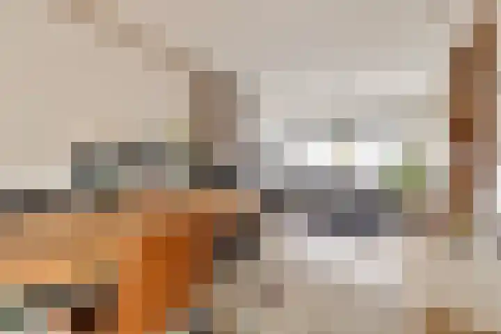Groenstraat 3 Born thumbnail 4