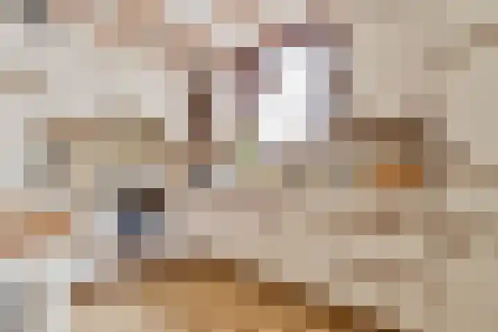 Groenstraat 3 Born thumbnail 5
