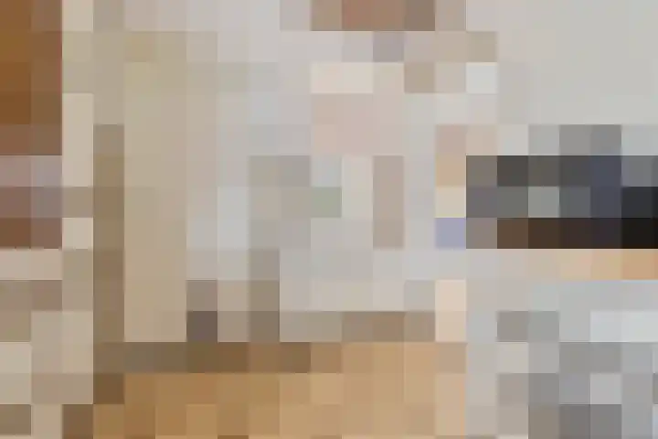Groenstraat 3 Born thumbnail 6