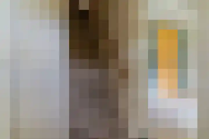 Groenstraat 32 Esbeek thumbnail 31